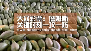 大众彩票：詹姆斯关键时刻一攻一防 骑士140-138险胜森林狼