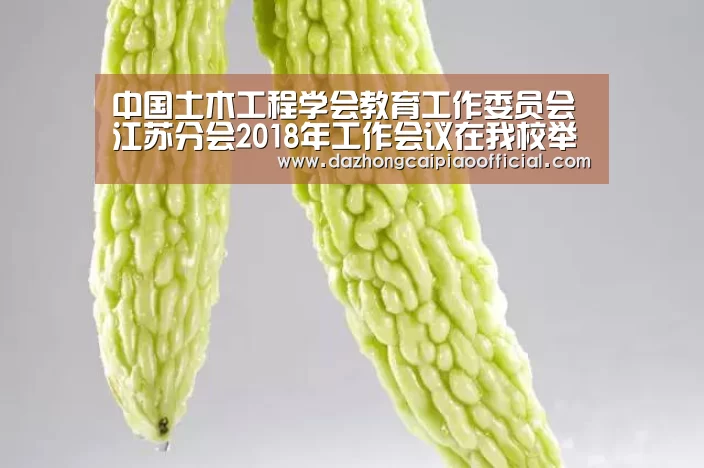 中国土木工程学会教育工作委员会江苏分会2018年工作会议在我校举行-体育彩票