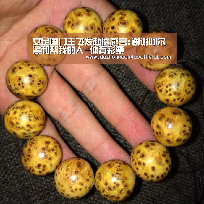 女足国门王飞发赴德感言:谢谢阿尔滨和帮我的人-体育彩票(图3) 大众彩票