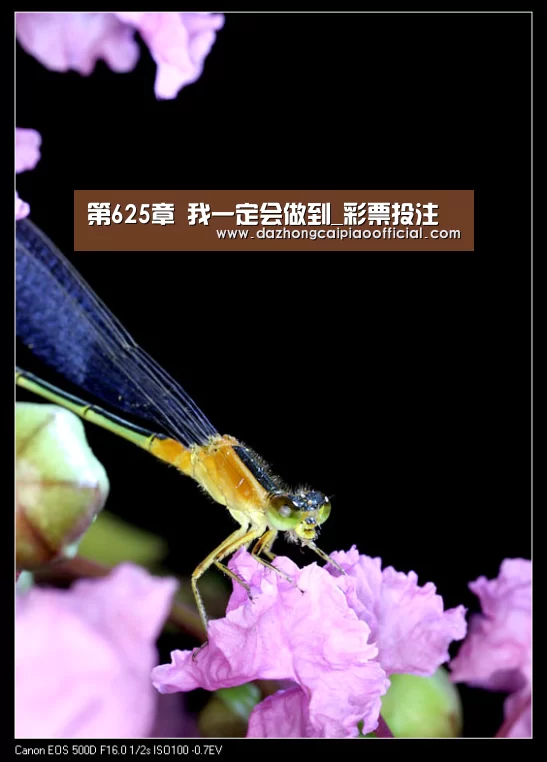 第625章 我一定会做到_彩票投注(图3) 在线购彩